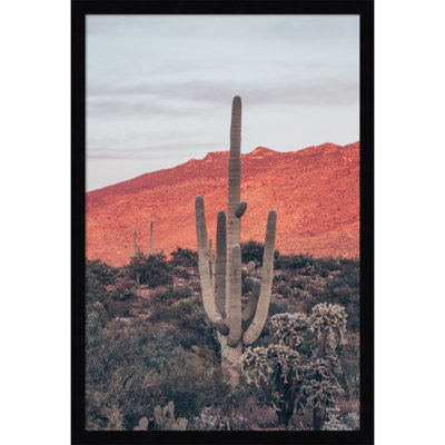 Sunsets and Saguaros Desert Photo Print