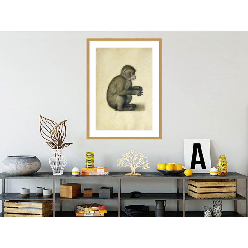 «A Monkey» par Albrecht Dürer, impression giclée sur cadre, H 41,5 po x l 30,66 po