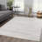 Ballville Bohemian Southwestern Gray/Ivory Area Rug-758462629