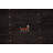 Dark Brown Gabbeh Oriental Area Rug 8