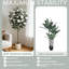 Plant-1943192474
