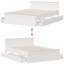 Heinle Solid Wood Storage Bed-493187280-493187292