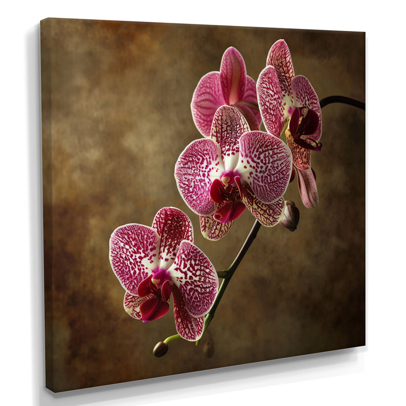 Orchidée fuchsia en gros plan - décoration murale orchidée, Toile tendue, H 16 po x l 16 po
