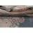 Traditional Oriental Area Rug 7x10