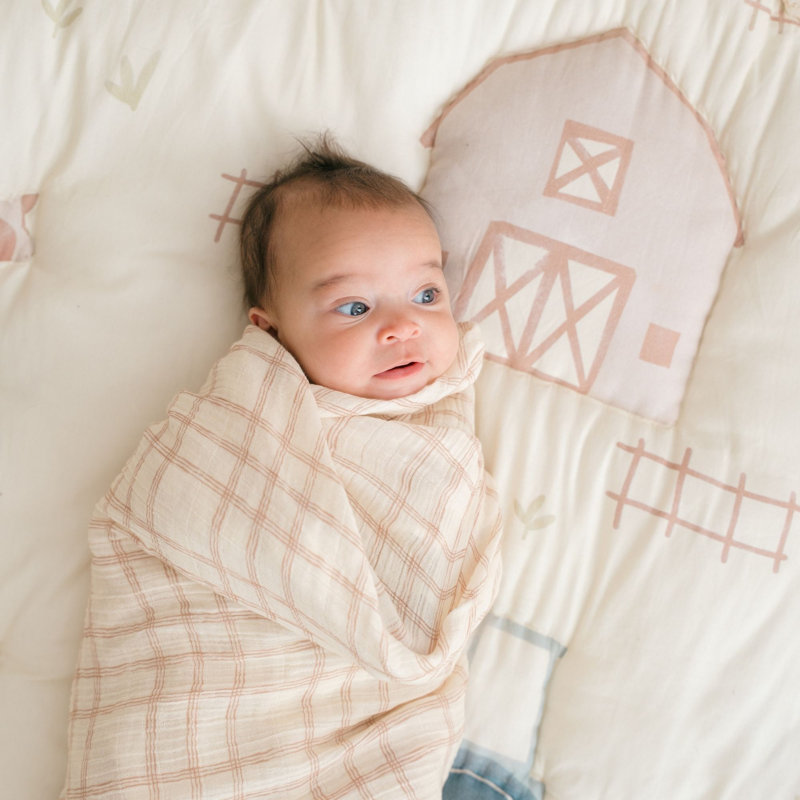 2-pc. Goose/Check Swaddle Set