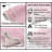 Dobrinka Cotton Bath Rug Set, Machine Washable, Quick Dry, Absorbent - 3 Piece Set-1888687062