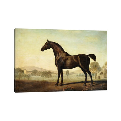 Sweetwilliam', A Bay Racehorse, In A Paddock, 1779 by George Stubbs - Wrapped Canvas Gallery-Wrapped Canvas Giclée