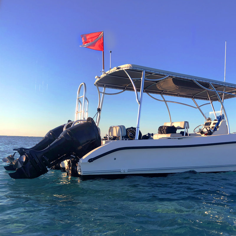 Drapeau d'avertissement Diver Down