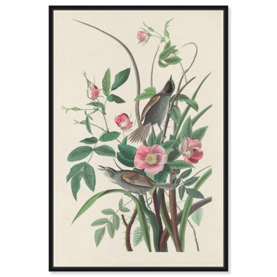 «Seaside Finch», reproduction d'art sur toile par Art Remedy