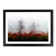 Tree Fog in Switzerland in Abstract - Picture Frame Graphic Art Print