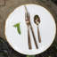 Salt 10.75" Dinner Plate