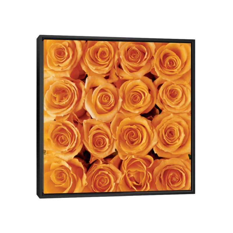 « orange rose creation », impression sur toile, H 18 po x l 18 po x P 1,5 po, Toile avec cadre noir, Pas de tapis
