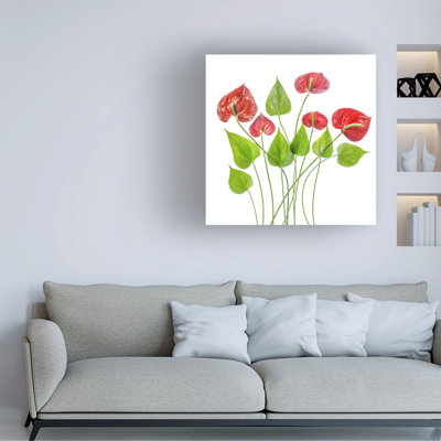 Mandy Disher  Anthurium Canvas Art