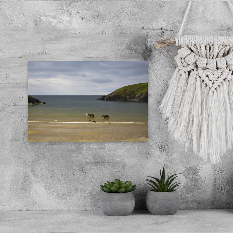 Walking Injured Horse Dunabrattin Cove The Copper Coast County Waterford Ireland by George Munday - Wrapped Canvas Print