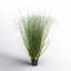 Gazon vert en pot Kellan-22996678