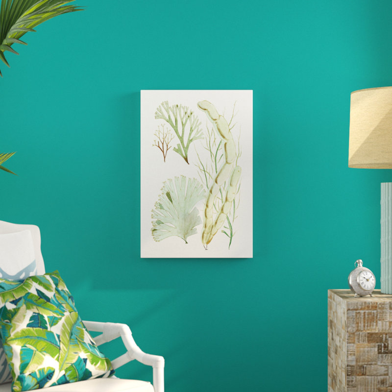 Antique Seaweed Composition I by Vision Studio - Painting Print, 76cm H x 51cm W, Wrapped Canvas
