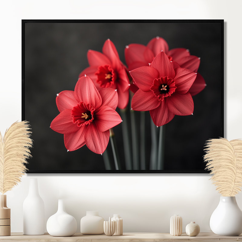 Photo de jonquilles goutte de pluie monochrome noir et rouge - jonquilles murales, H 24 po x l 32 po, Cadre flottant noir