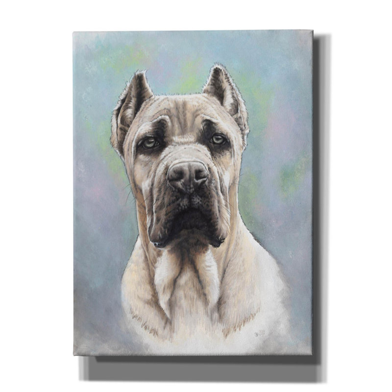 «Cane Corso 2» par Barbara Keith, art mural sur toile, H 54 po x l 40 po x P 1,5 po