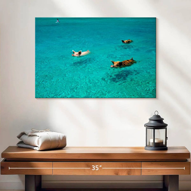 Brampt Pigs In Exuma Cays, 16" H x 24" W