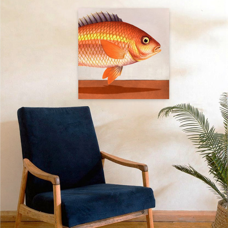 Contemporary Art Retro Vintage Fish Art, 24" H x 24" W