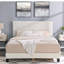 Lit plateforme tapissier 3D -373933526