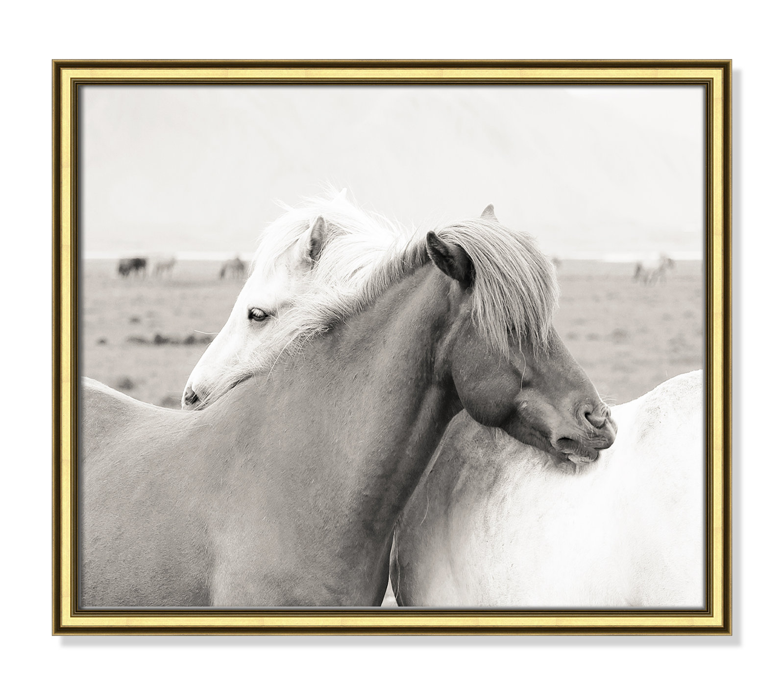 Melanie "Icelandic Meadow Horses" Print, 17.25" H x 20.25" W x 0.88" D, Gold Framed