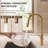 Dual Function Single Handle Pull Down Kitchen Faucet-127657795