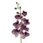 100cm Purple Phalaenopsis Orchid Stem