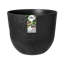 Plant Pot-72816957-72816958