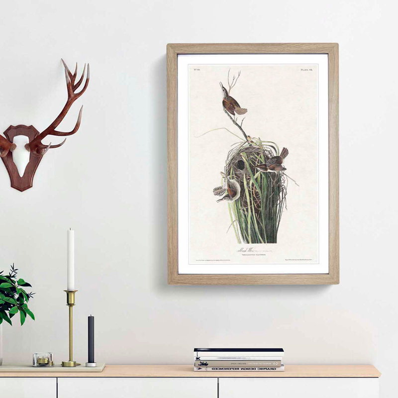 Marsh Wrens by John Audubon - Framed Print, 36cm H x 27cm W x 2cm D, Oak Framed