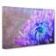 Lilac And Blue Chrysanthemum - Wrapped Canvas-56634610