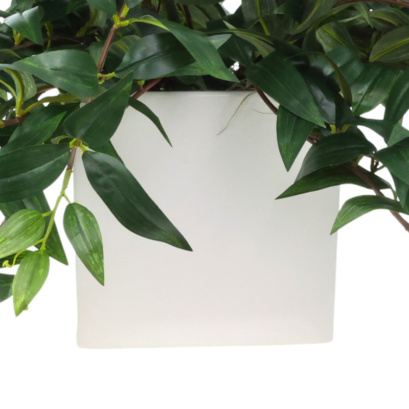 Nature's Elegance Faux Ruscus Plant in Ceramic Pot