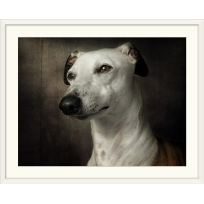 «Straub» en attente par Mandy Disher, reproduction de photo