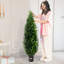 152.4cm Plant