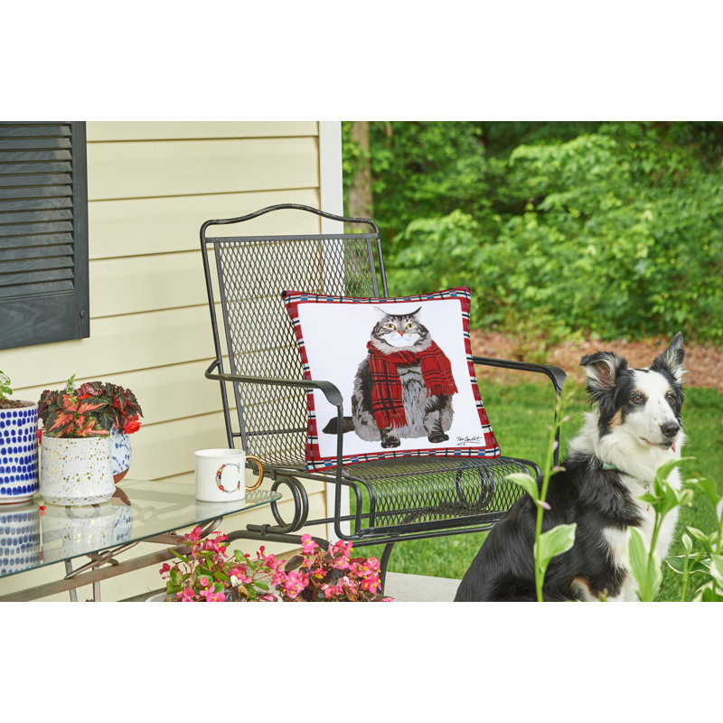 Outdoor Throw Pillow