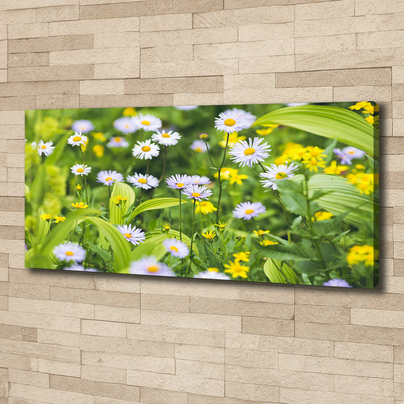 Daisies - Wrapped Canvas Print