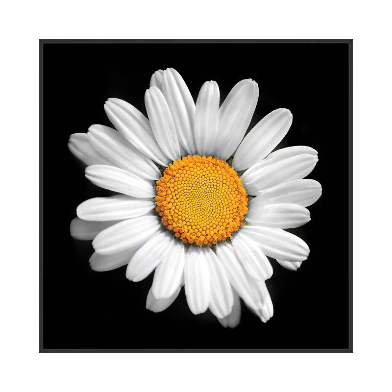 «There Is a Sun in Every Flower» par Ben Heine - impression d'art graphique, H 18 po x l 18 po x 1,5 po, Pas de tapis