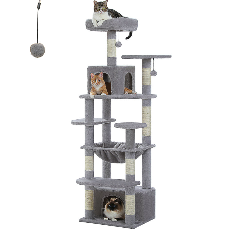 Arbre à chat, Gris clair