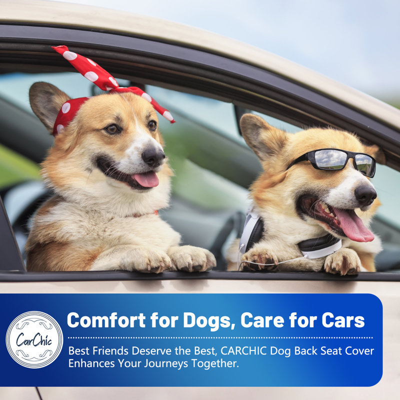 Dog Car Back Seat Cover with Door Protectors, Heavy Duty Backseat Cover Fits Full-Size Crew Cab Trucks with Fold-Up Seat