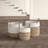 Birch Lane™ Lucian Box
