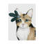 « downton cat ii », peinture sur toile tendue-665781626