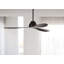 Aalyna 142cm Ceiling Fan-448797537