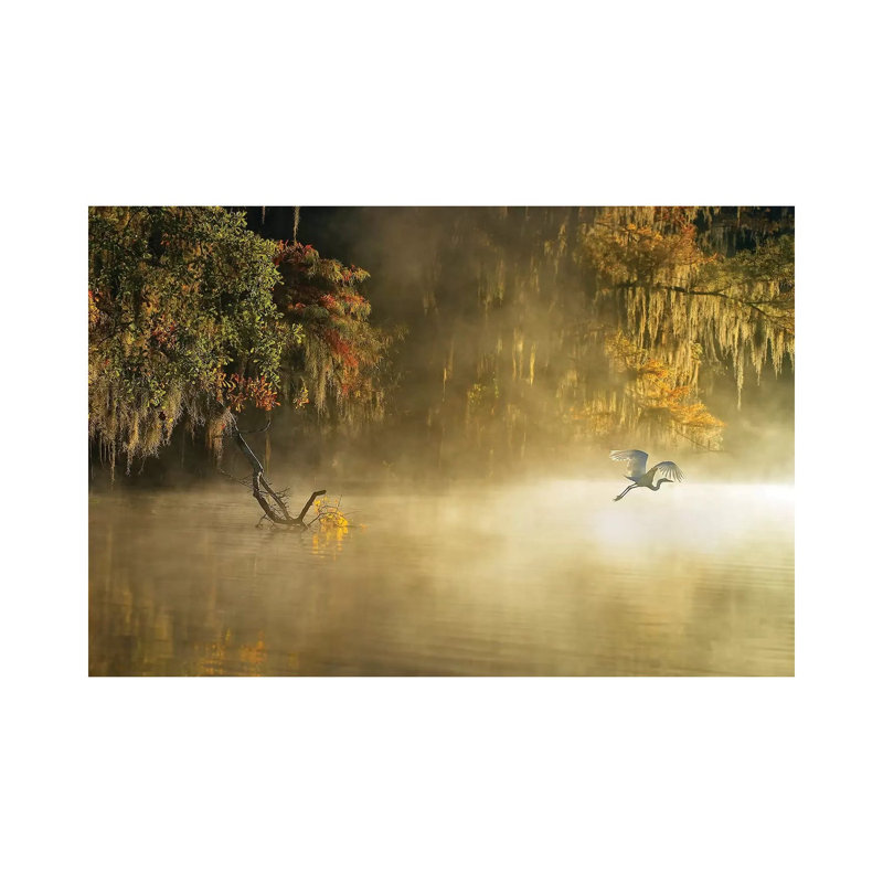 Egret by Hua Zhu - Wrapped Canvas Print, 20.32cm H x 30.48cm W x 1.9cm D