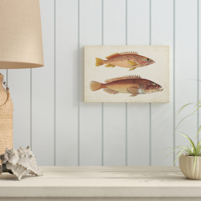 «Antique Fish Species I», peinture sur toile