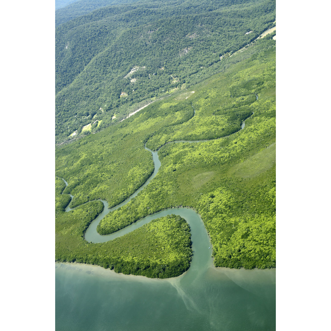 River Mouth von Davidf - Kunstdrucke auf Segeltuch