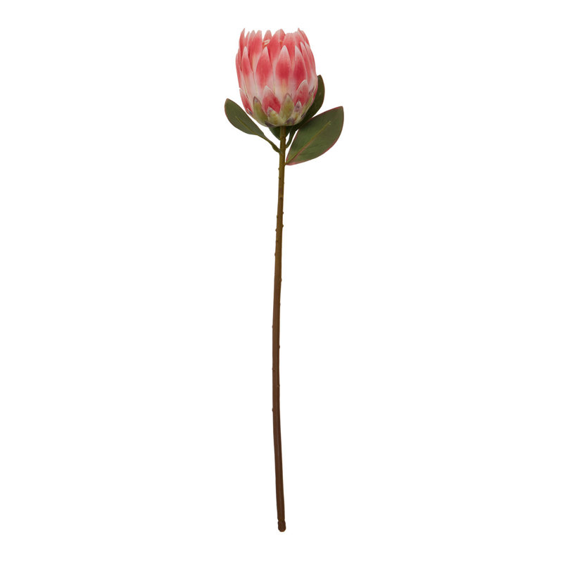 Fiori Protea Arrangement