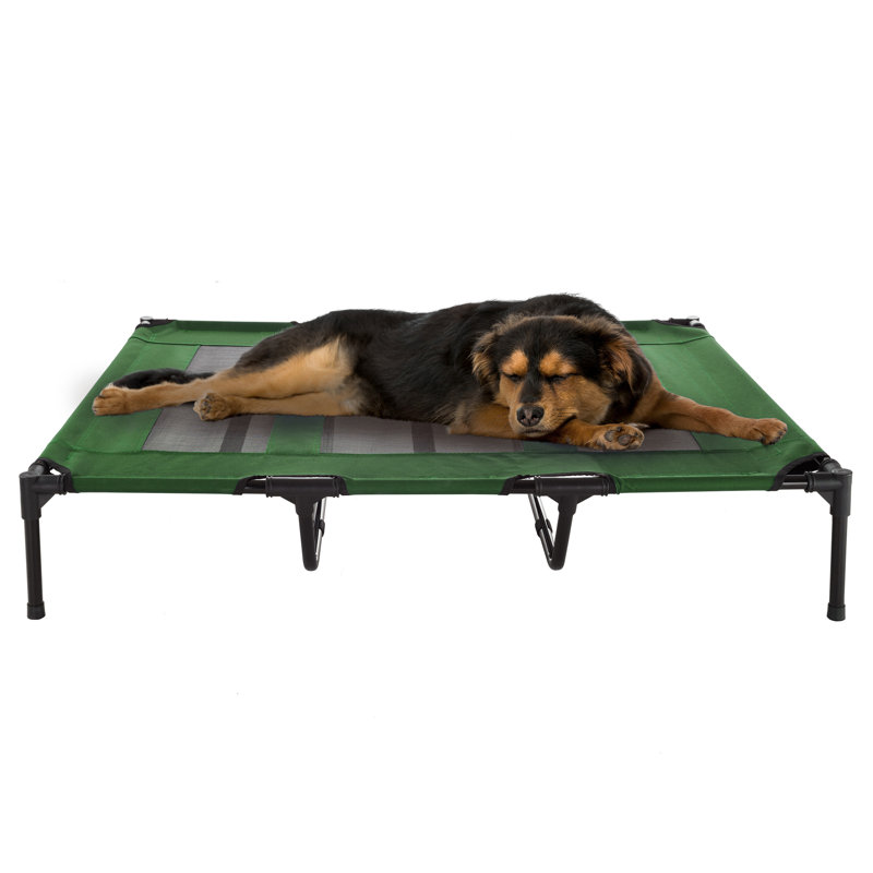 Lit pour chien surélevé portable avec caisse de transport PETMAker, Très grand (l 48 po x P 36 po x H 9 po), Vert