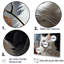 American Curl Curiosity Cat I - Chat, art mural, salon-95896573-95896572