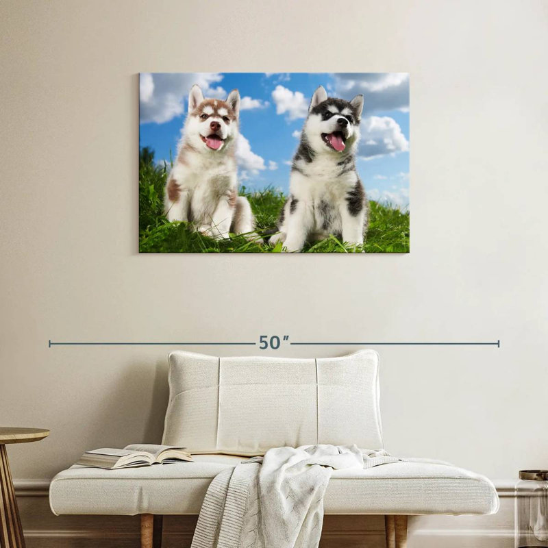 Husky Babies, H 24 po x l 36 po