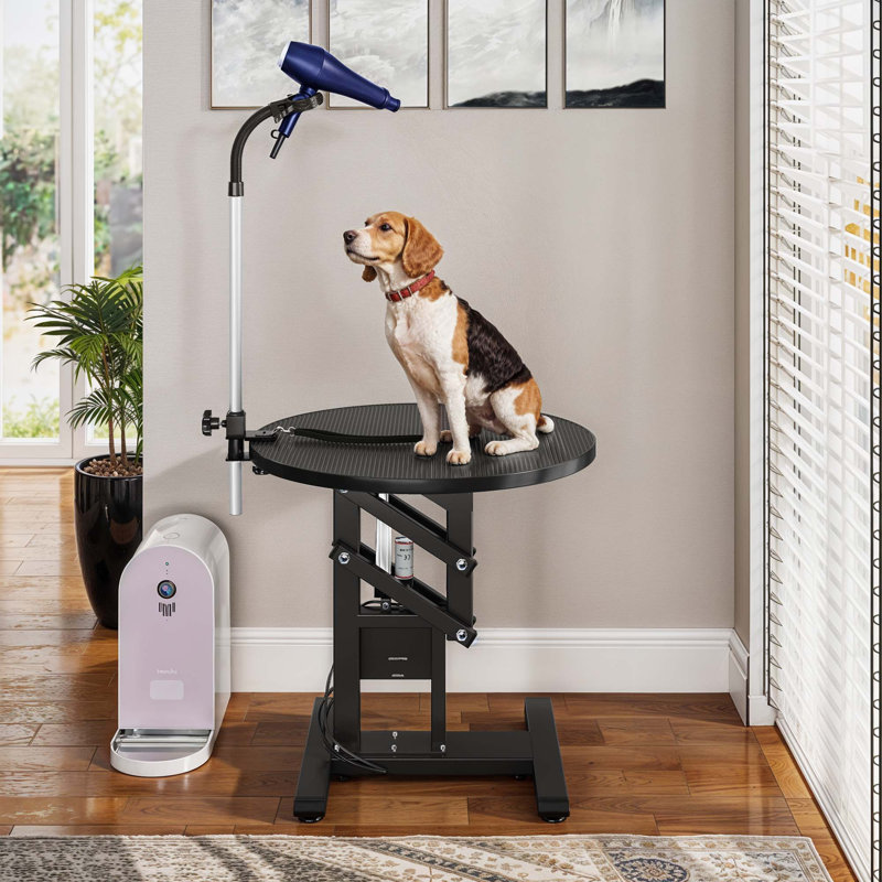 Table de toilettage électrique de qualité supérieure avec support de soufflerie et surface antidérapante
